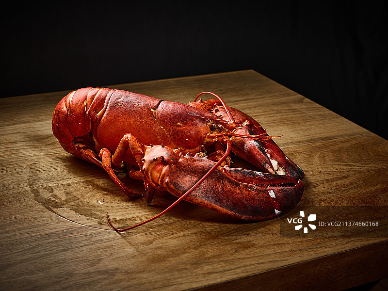 波士顿龙虾图片素材