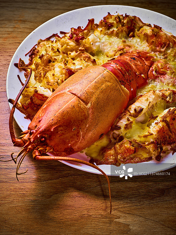 波士顿龙虾图片素材