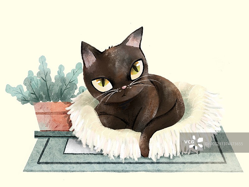 黑猫与盆栽图片素材