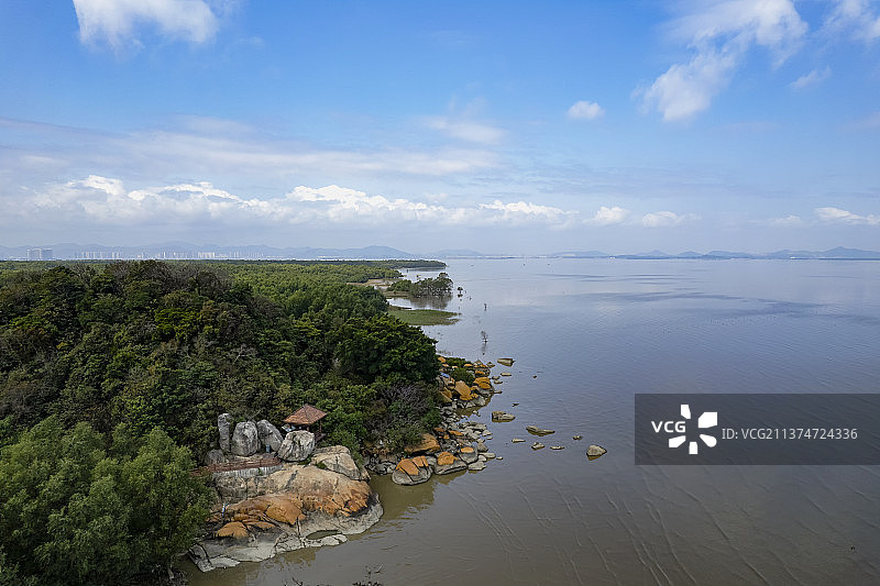 珠海淇澳岛红树林保护区图片素材