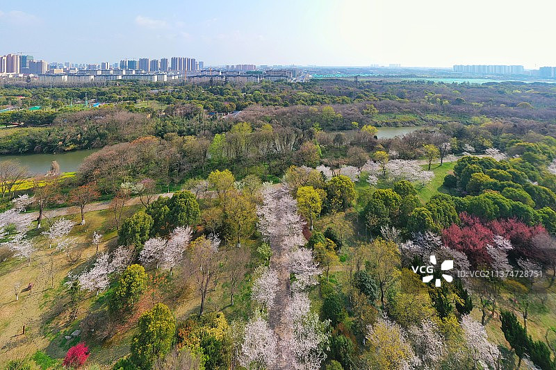 淹城遗址公园图片素材