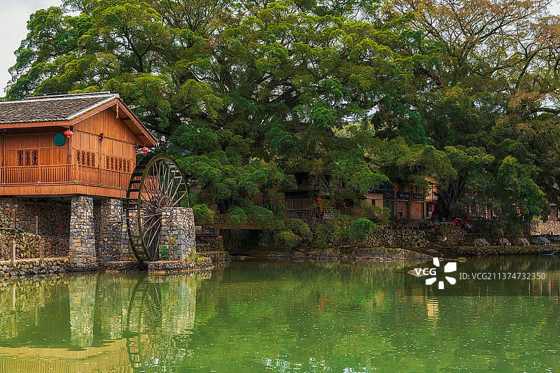 福建省漳州市南靖县云水谣古镇清晨榕树水车户外风光图片素材