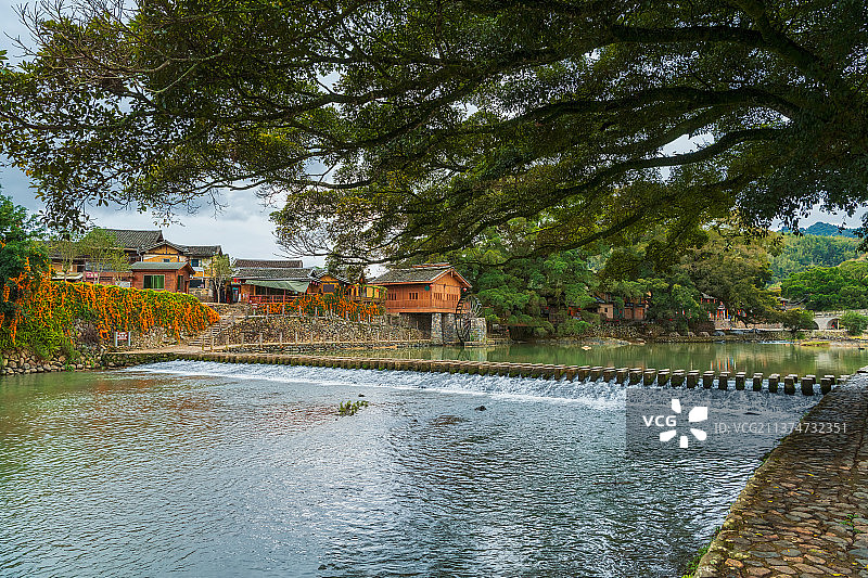 福建省漳州市南靖县云水谣古镇清晨榕树水车户外风光图片素材