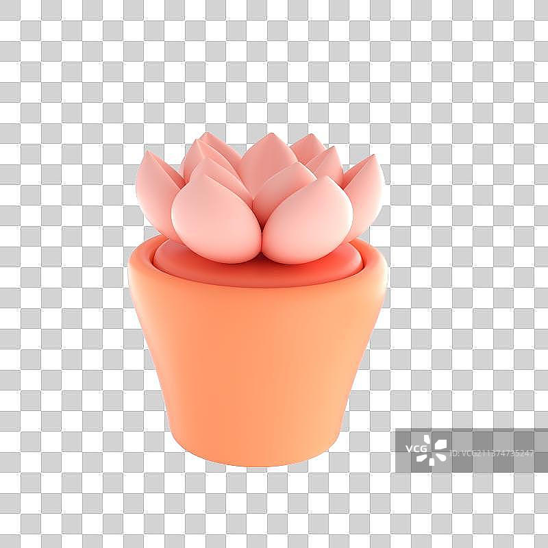 卡通多肉植物盆栽三维渲染图片素材