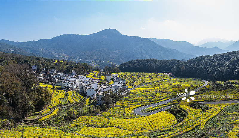 航拍中国江西省婺源江岭梯田油菜花花海春季风景图片素材