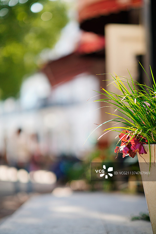 上海市松江区泰晤士小镇游览图片素材