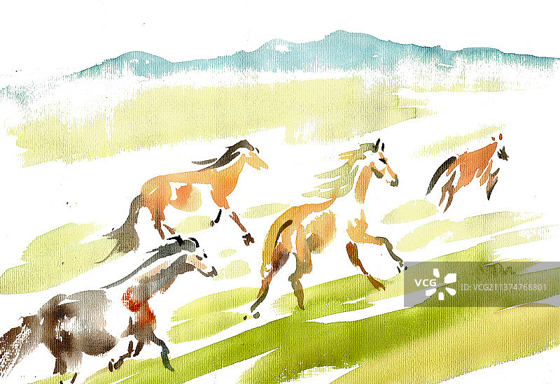 草原上的奔马图片素材