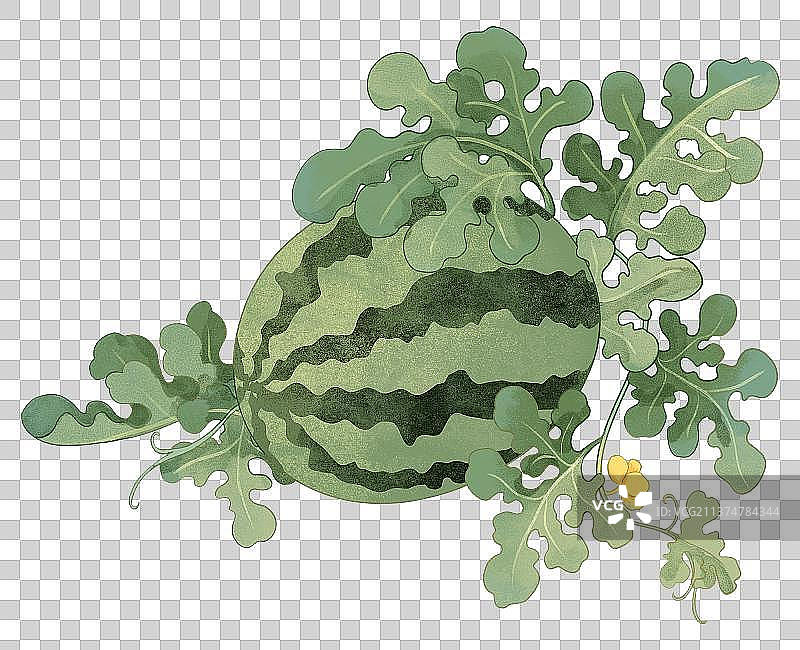 西瓜地西瓜叶西瓜花水果包装国潮插画图片素材
