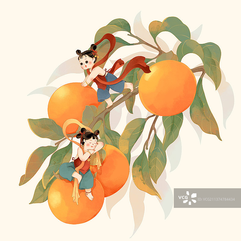 两个红肚兜儿童摘柿子与柿子枝国潮插画图片素材