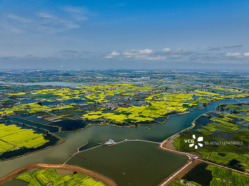 芜湖响水涧油菜花海图片素材