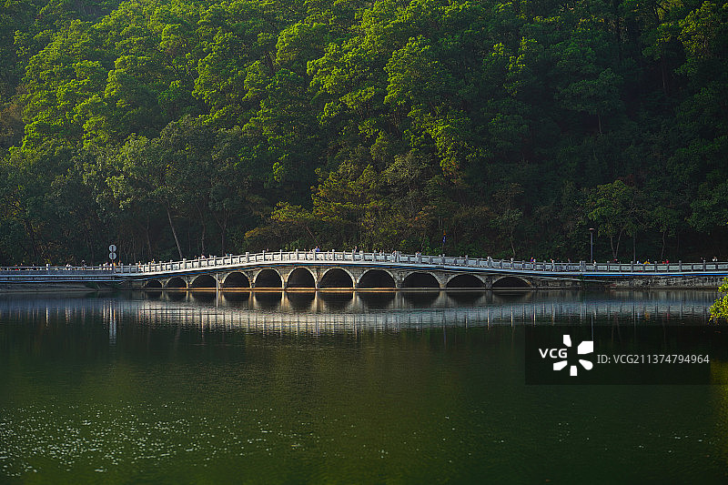 广东深圳罗湖仙湖植物园图片素材