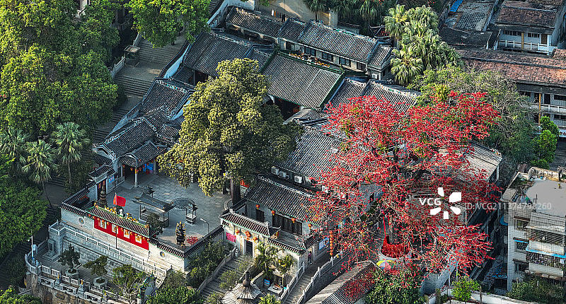 中山市石岐区盛开的木棉花与西山古寺图片素材