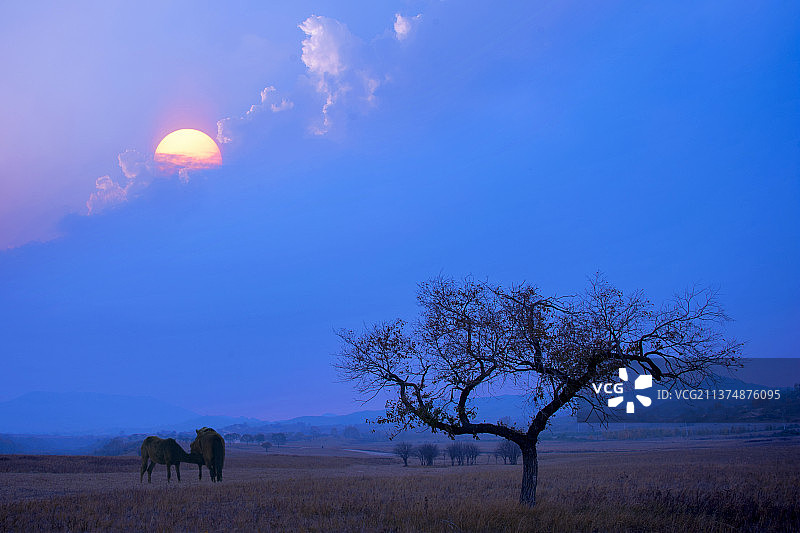 坝上风光图片素材