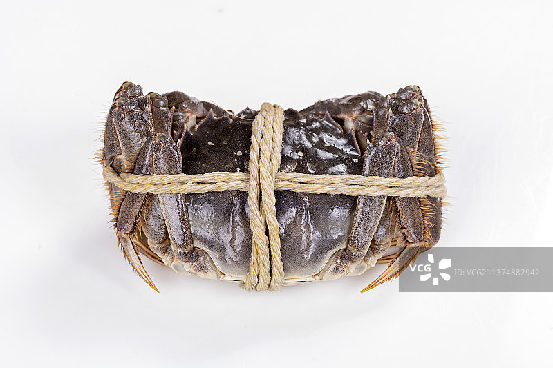 捆扎的大闸蟹河螃蟹特写白色背景图片素材
