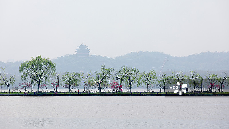 杭州的春天图片素材