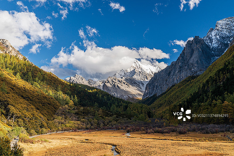 稻城亚丁的秋天，冲古牧场与夏诺多吉雪山图片素材