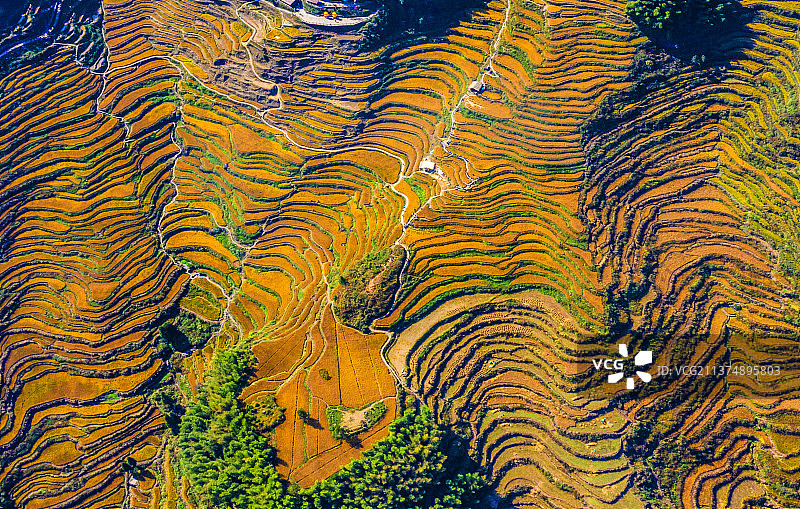 运河梯田图片素材