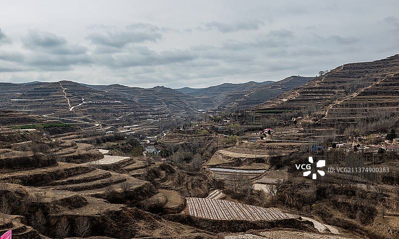 黄土地上的春天风光图片素材