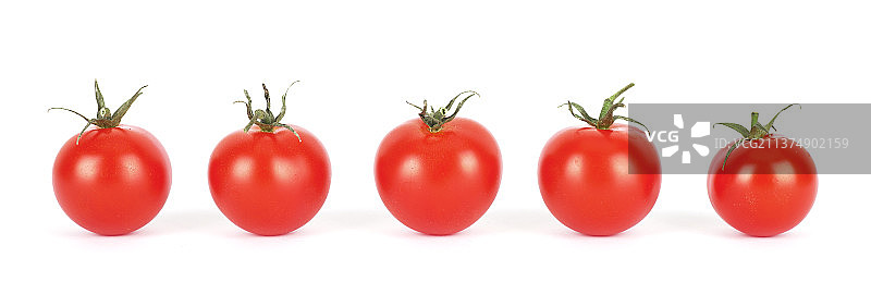 一排小西红柿图片素材