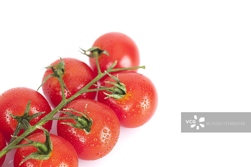 新鲜的西红柿图片素材
