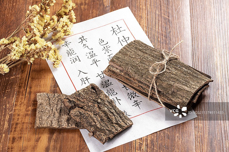 名贵中药杜仲特写图片素材