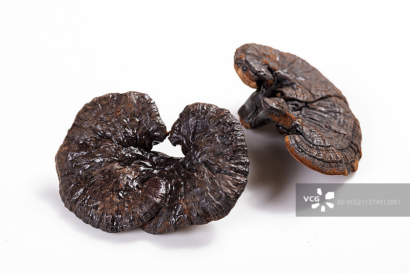 灵芝与药方古籍书摆放在桌面上特写图片素材