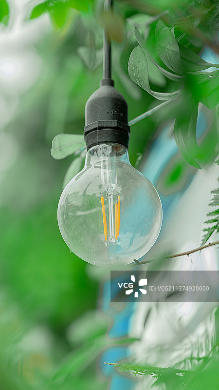 春天的颜色图片素材