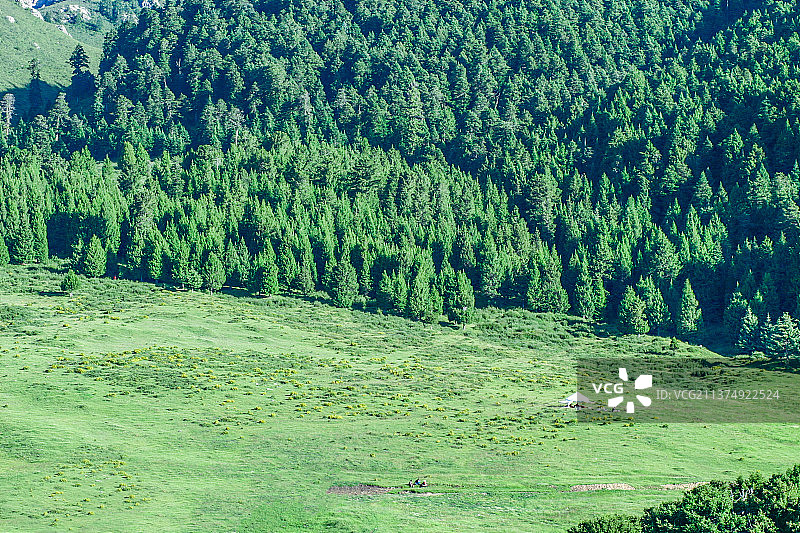 林海草原自然风光图片素材