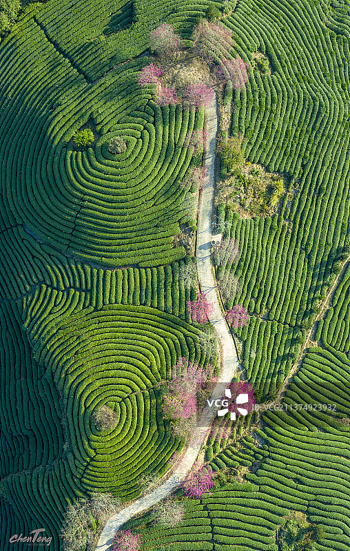 大陆阿里山图片素材