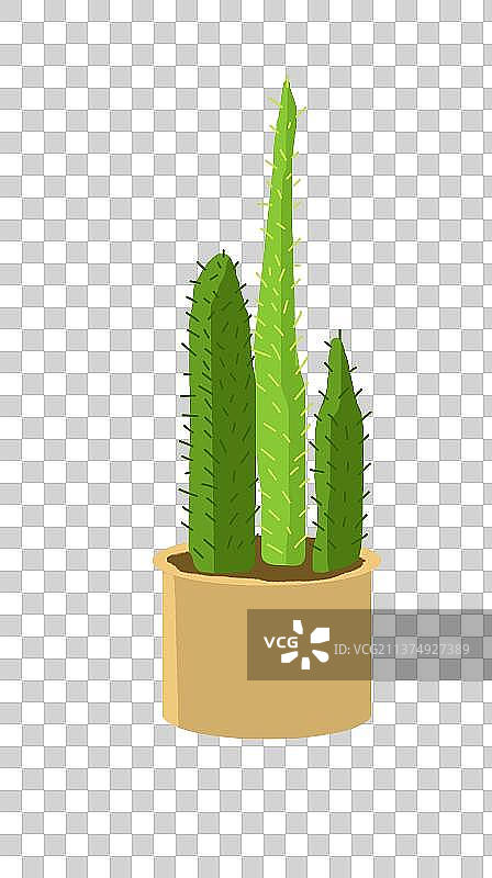 仙人掌图片素材