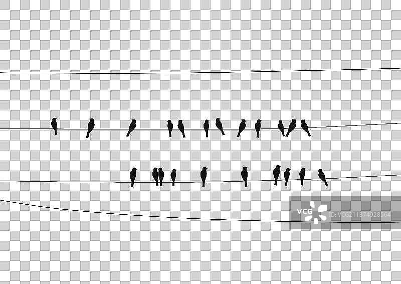 电线上的鸟图片素材