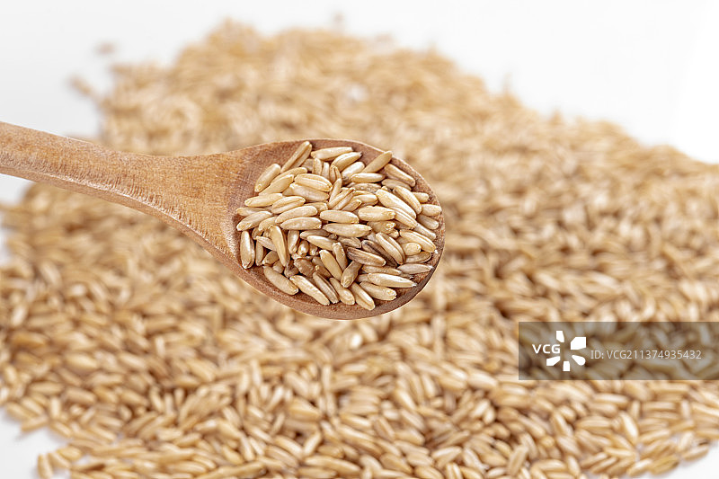 粗粮杂粮燕麦米特写图片素材