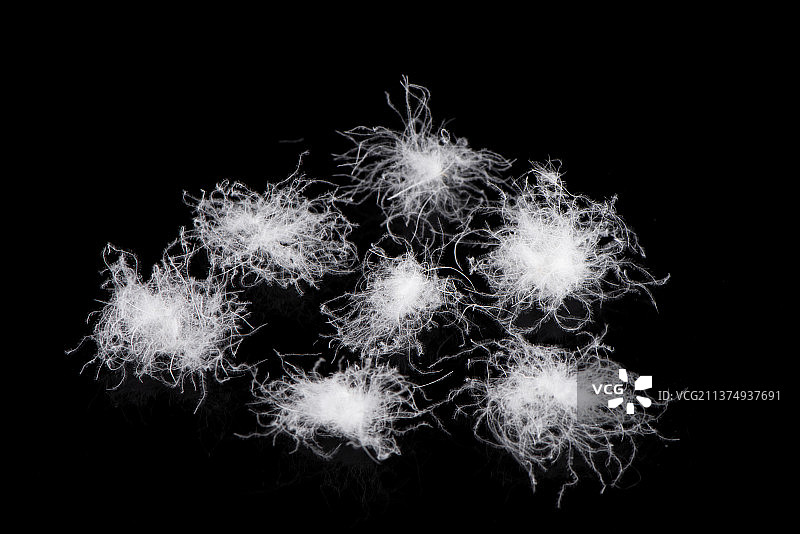 黑色背景上的白羽绒图片素材