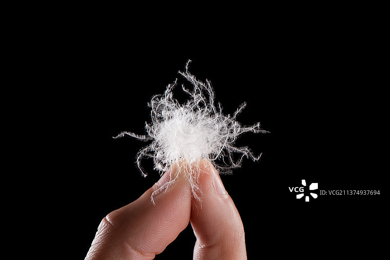 手上的一朵白羽绒图片素材