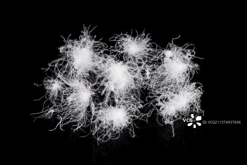 黑色背景上的白羽绒图片素材