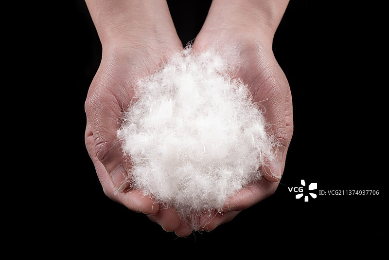 手里捧着的白羽绒图片素材