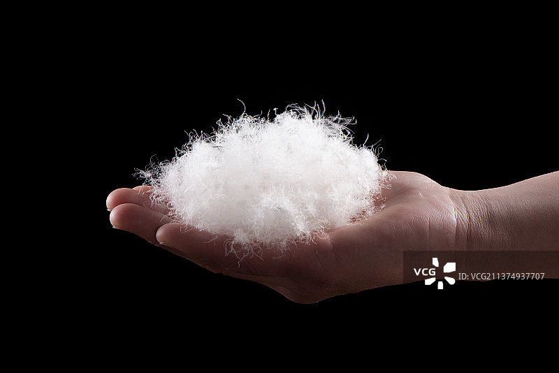 手上的白羽绒图片素材