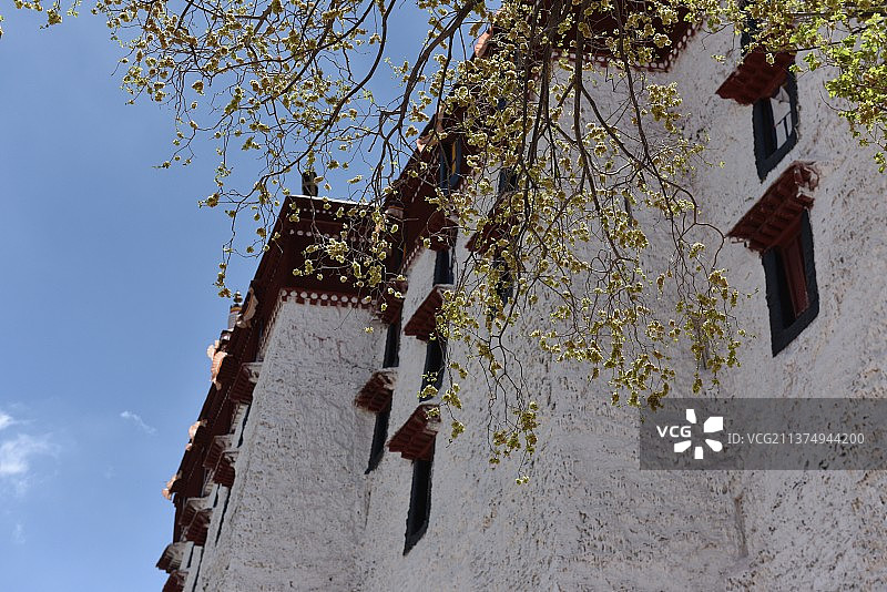 布达拉宫外墙图片素材