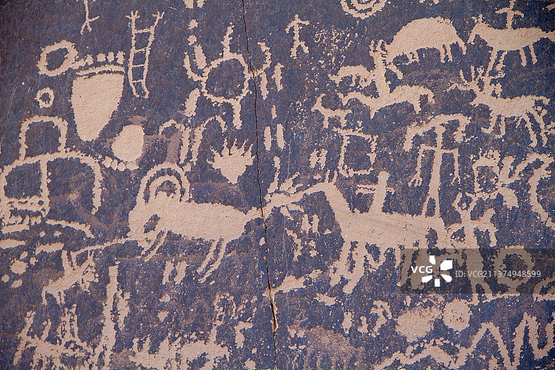 报纸岩石上展示双角羊和鹿、狩猎和其他符号的岩画图片素材