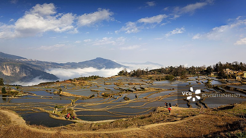 元阳爱春蓝色梯田风光图片素材