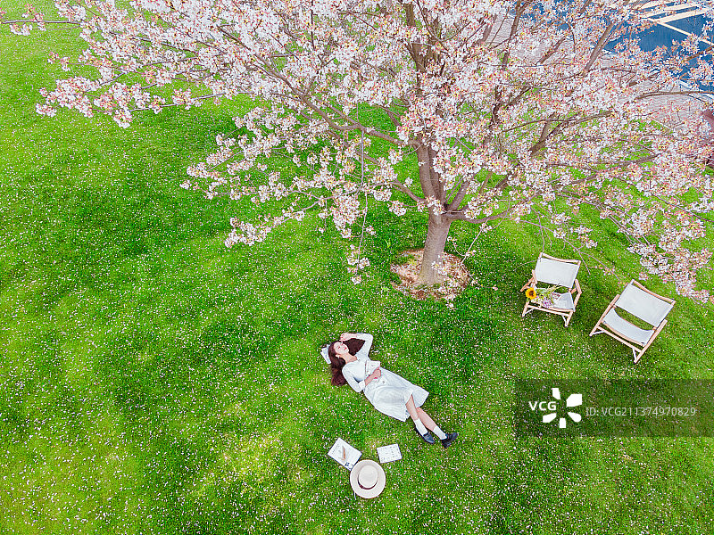 樱花下读书图片素材
