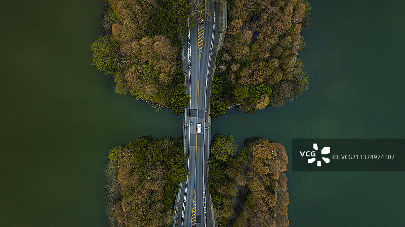 西湖杨公堤图片素材