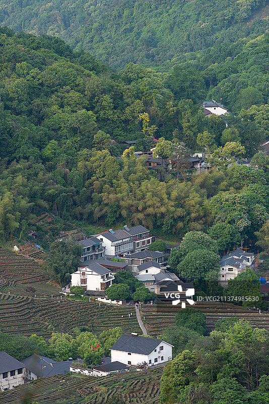 浙江省杭州西湖龙井村图片素材