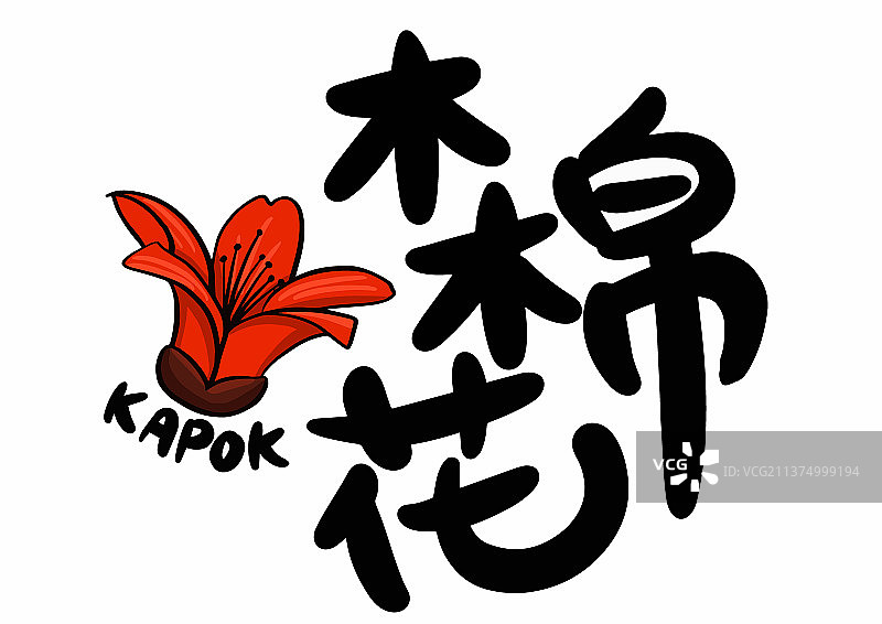 木棉花插画图片素材