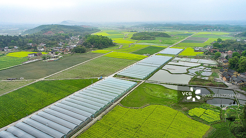 物阜民丰春景如画图片素材