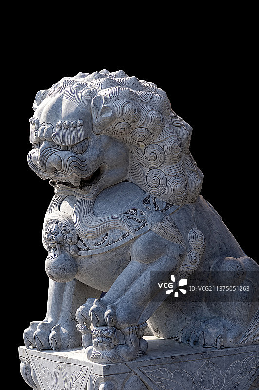石狮子特写黑色背景图片素材