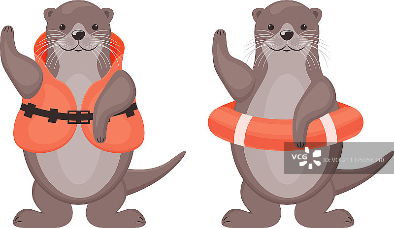 穿救生衣的两只可爱水獭图片素材