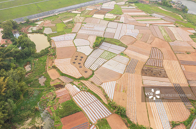 南宁大王滩国家森林公园图片素材
