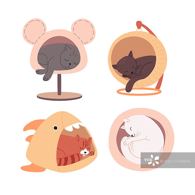 不同品种的可爱彩色猫咪正在睡觉图片素材