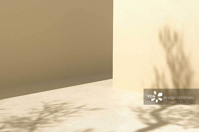 3D渲染抽象阳光下地面和墙面上树影图片素材